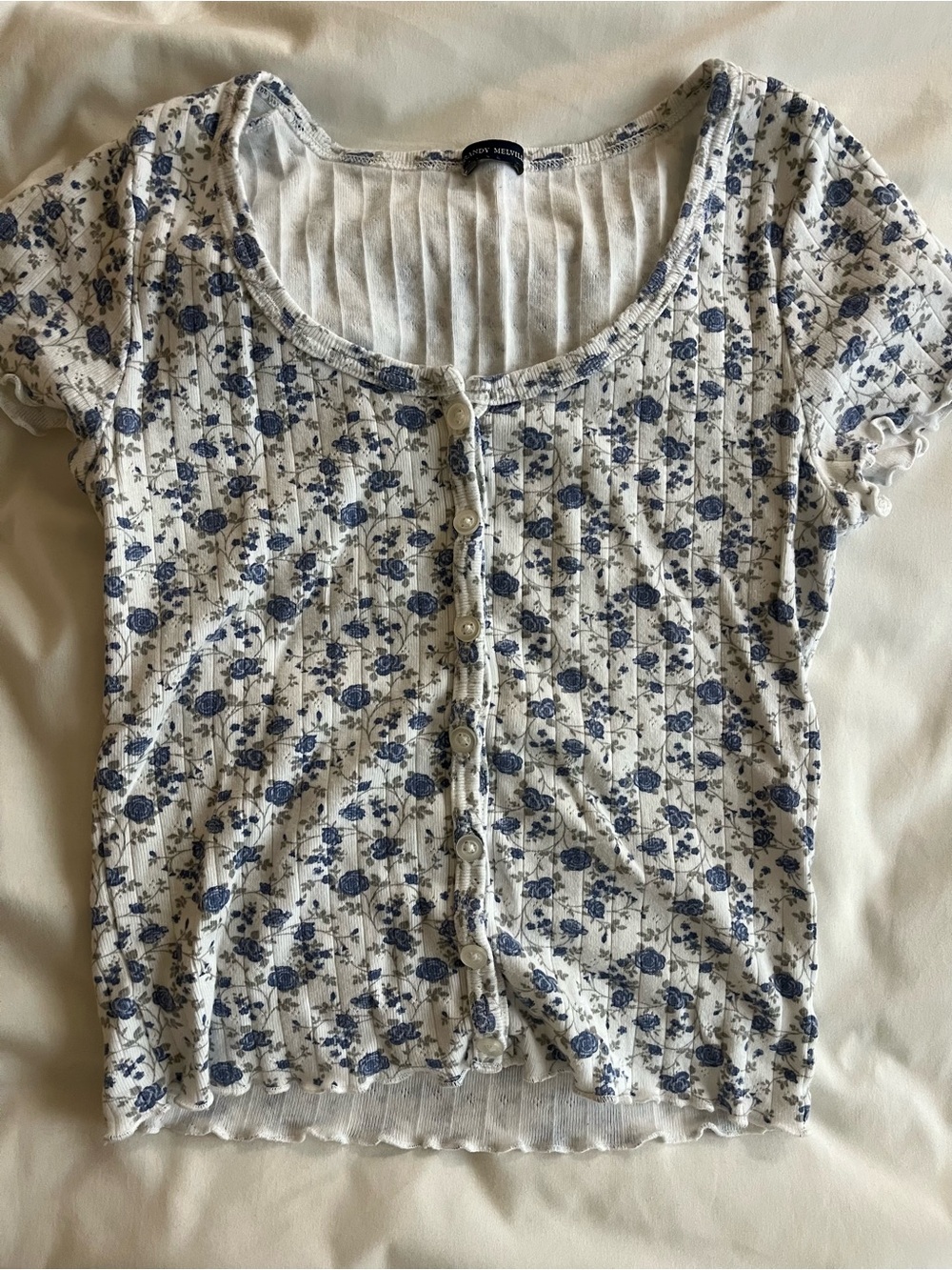 Brandy Melville Blue Floral Zelly Top